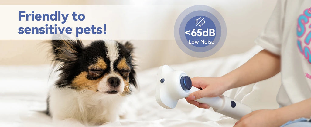 Pet Grooming Vacuum Pro Kit